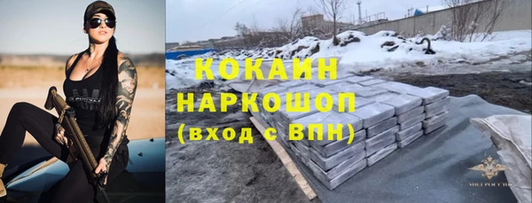 спайс Аша